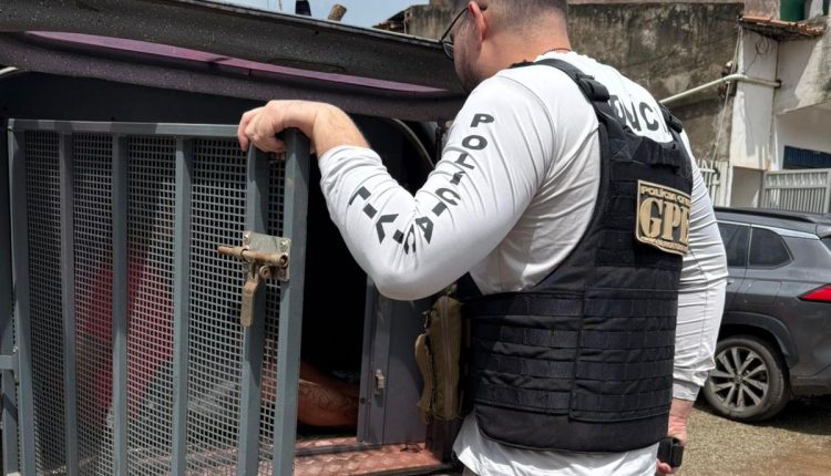 HOMEM É PRESO EM FLAGRANTE POR MATAR CACHORRO EM ARARI