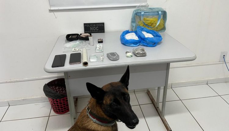 POLÍCIA CIVIL PRENDE HOMEM POR TRÁFICO DE DROGAS NO BAIRRO ALEMANHA