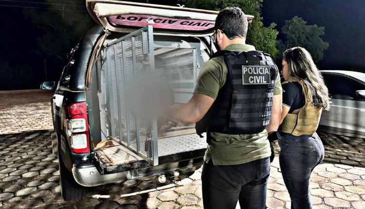 POLÍCIA CIVIL PRENDE AUTOR DE VIOLÊNCIA DOMÉSTICA EM VITÓRIA DO MEARIM